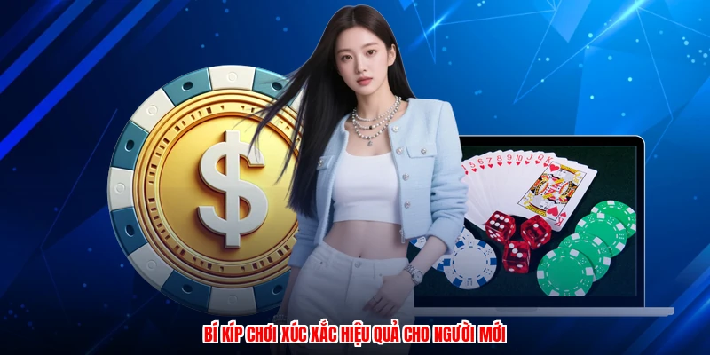 Bí kíp chơi xúc xắc hiệu quả cho người mới
