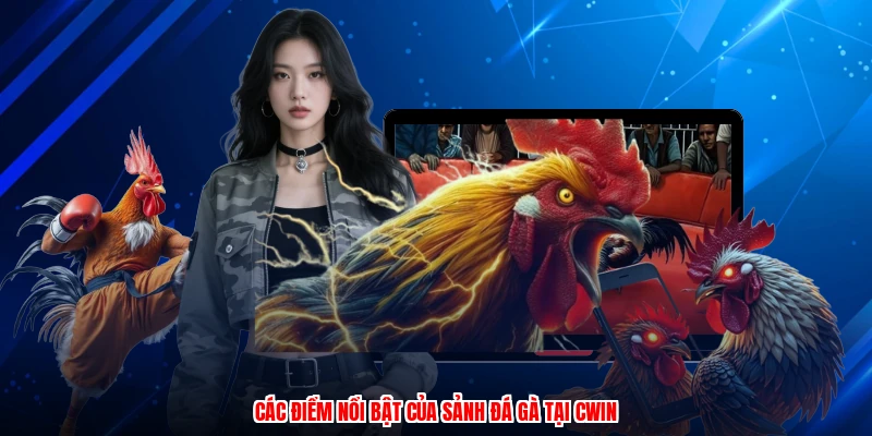 Các điểm nổi bật của sảnh đá gà tại CWIN