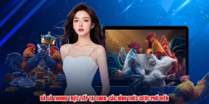 Đá Gà Thomo Trực Tiếp Tại CWIN: Các Hình Thức Cược Phổ Biến