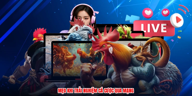 Mẹo khi trải nghiệm cá cược qua mạng