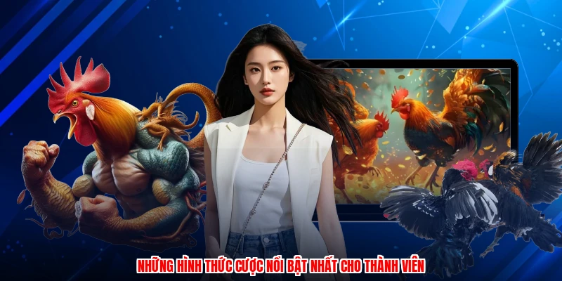 Những hình thức cược nổi bật nhất cho thành viên