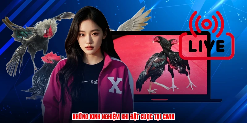 Những kinh nghiệm khi đặt cược tại CWIN