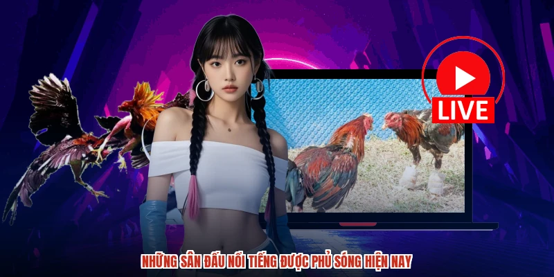 Những sân đấu nổi tiếng được phủ sóng hiện nay