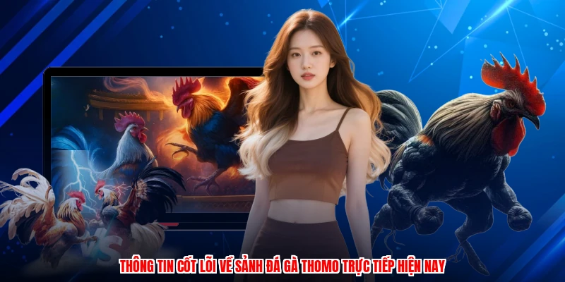 Thông tin cốt lõi về sảnh đá gà thomo trực tiếp hiện nay