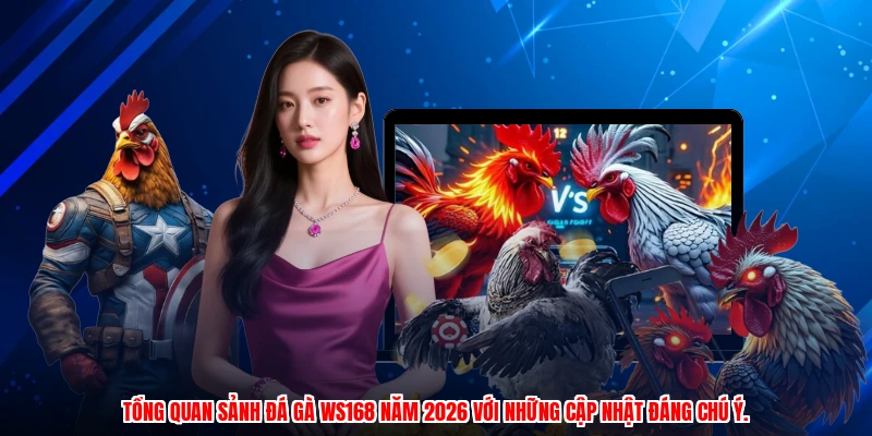 Tổng quan sảnh đá gà WS168 năm 2026 với những cập nhật đáng chú ý.