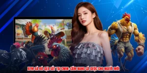Xem Gà Đá Cựa Sắt Tại CWIN: Cẩm Nang Cá Cược Cho Người Mới
