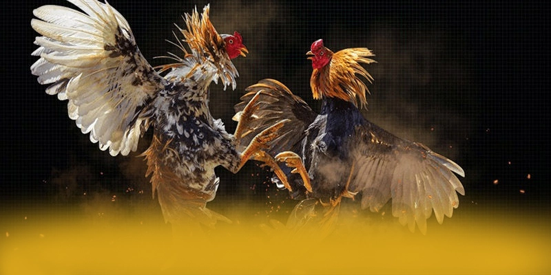 Trải nghiệm trên điện thoại di động cùng BET168 Trải nghiệm trên điện thoại di động cùng BET168